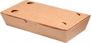 FOOD BOX 20x10x5 a'100 kartonik