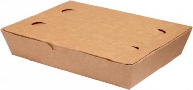 FOOD BOX 20x14x5 a'100 kartonik