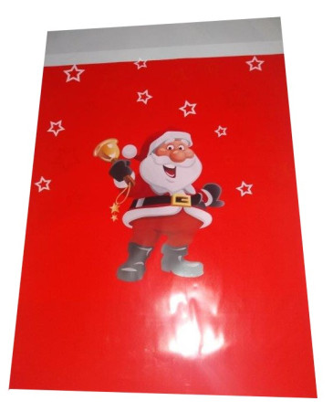 Torebki PP 30x50 a'50